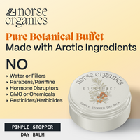 Pimple Stopper Day Balm